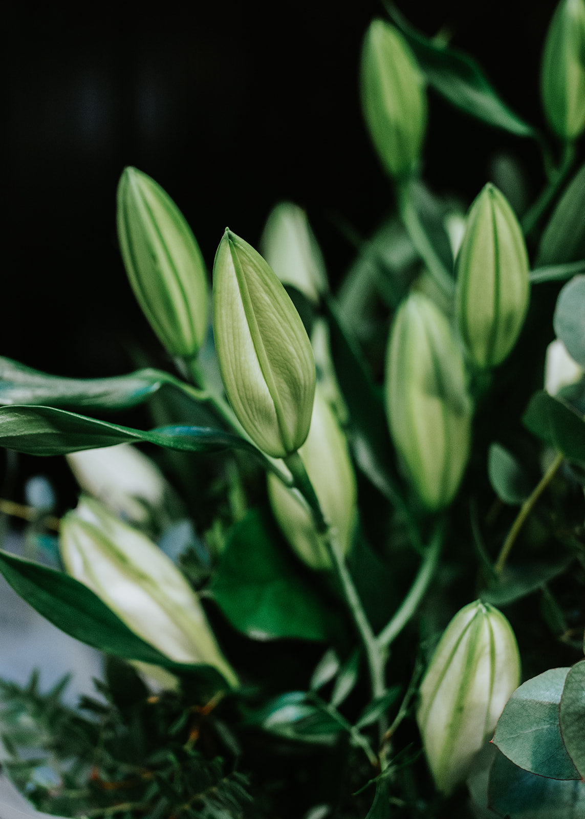 Classic White Lily Hand-tied Bouquet