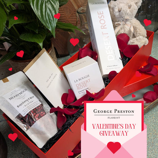 My Special Someone Gift Box