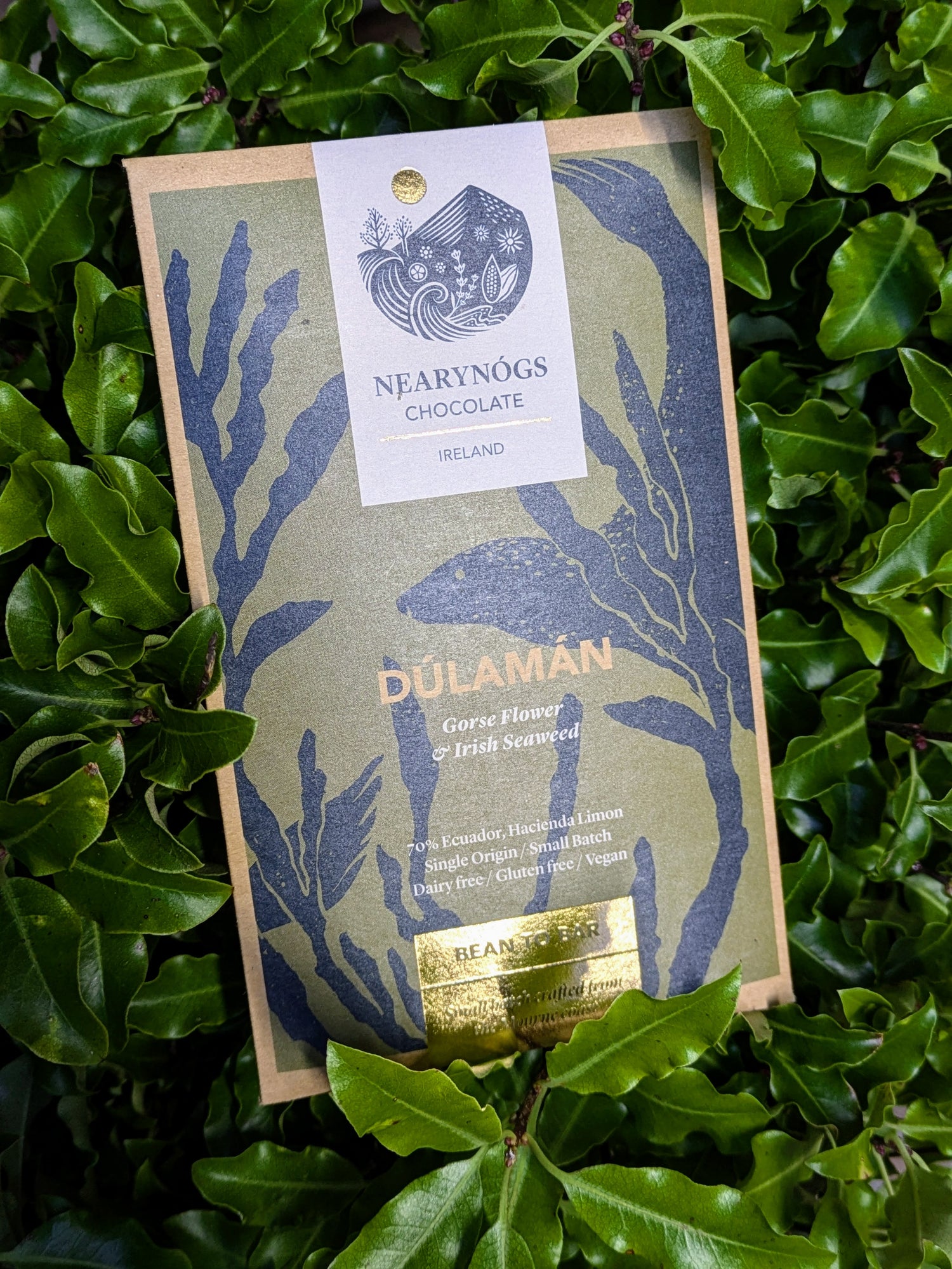 A chocolate bar packaging with a green and brown color scheme, labeled 'Dúlamán' from Nearynocks Chocolate, placed on a background of green leaves.