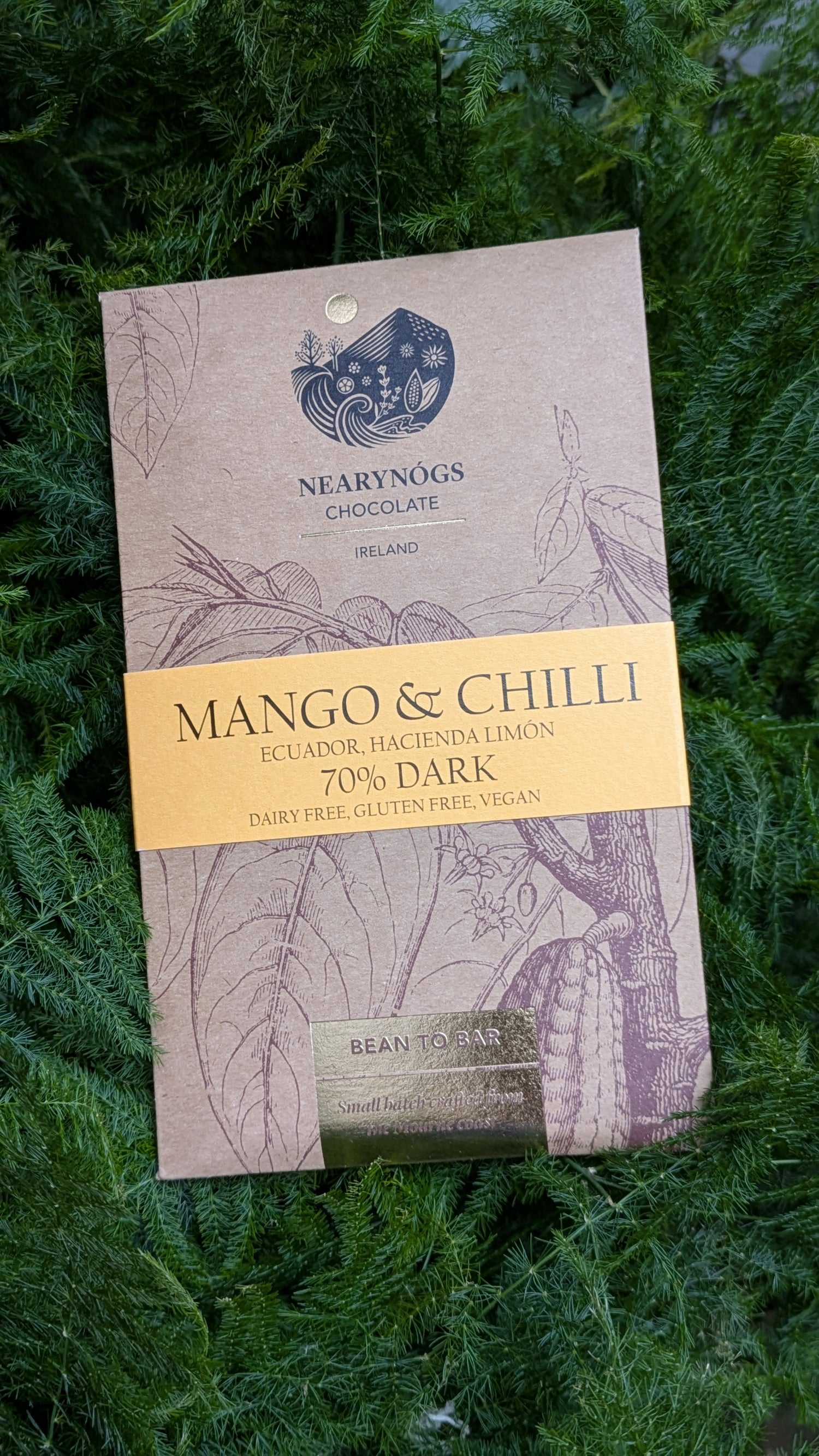 Nearly Nogs Mango & Chilli chocolate bar on a green leafy background