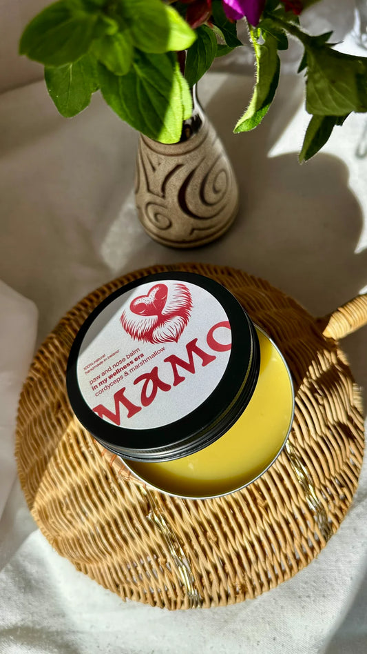 DOG CARE: Dog Paws and Nose Balm - Cordyceps & Marshmallow (Unscented)