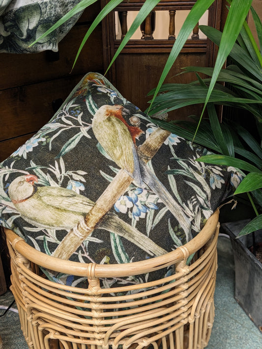 Parakeet Cushion