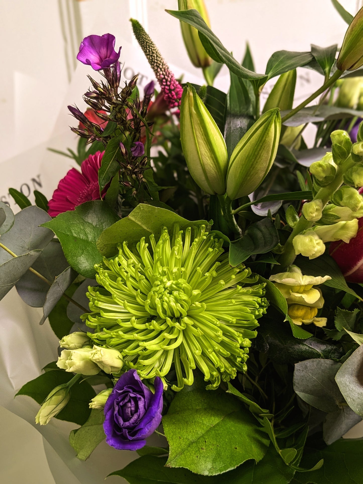 Beautiful Bright's ❤