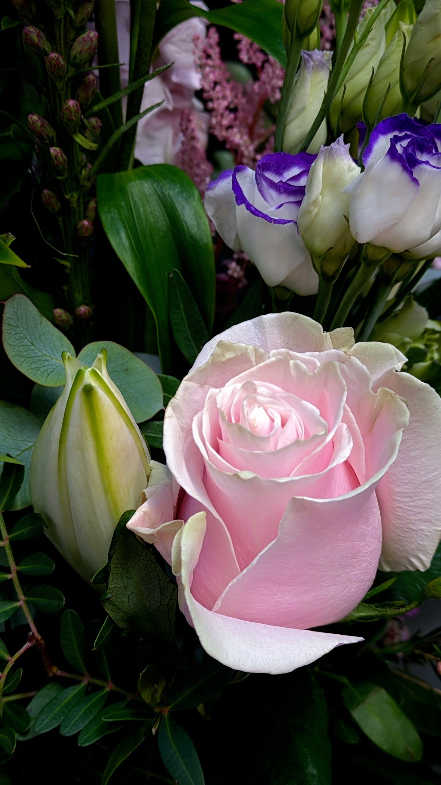 Blush Hand-tied Bouquet