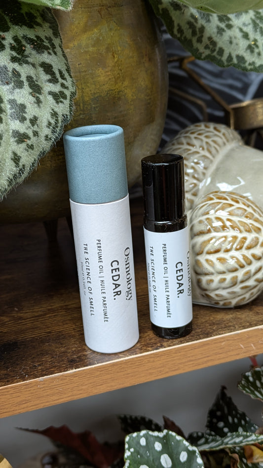 OSMOLOGY BY AERY | Cedar Perfume Oil Roller