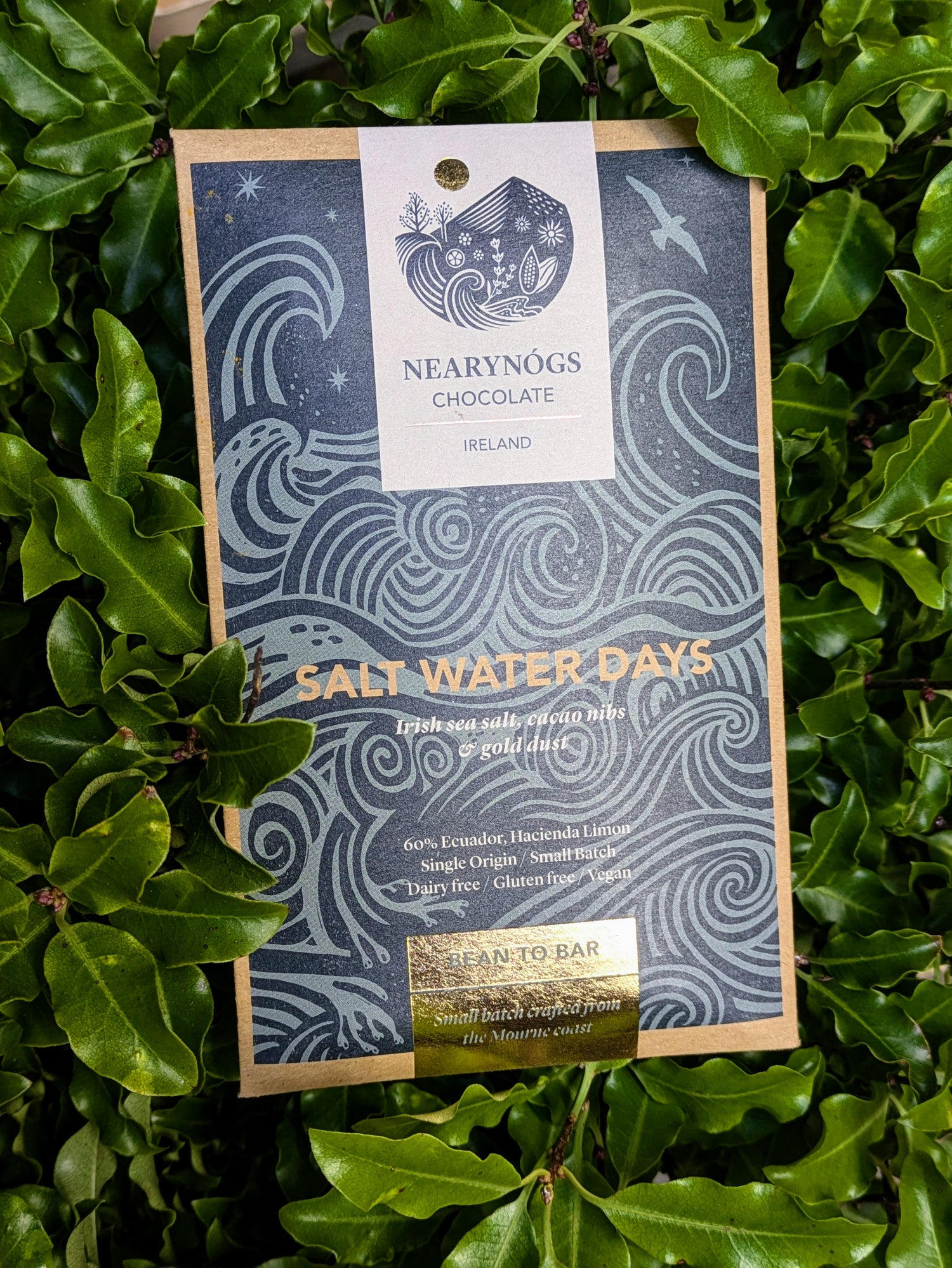 A chocolate bar named 'Salt Water Days' by Nearynog's Chocolate, placed on a bed of green leaves, with packaging that includes Irish sea salt, crushed cacao nibs, and gold dust.