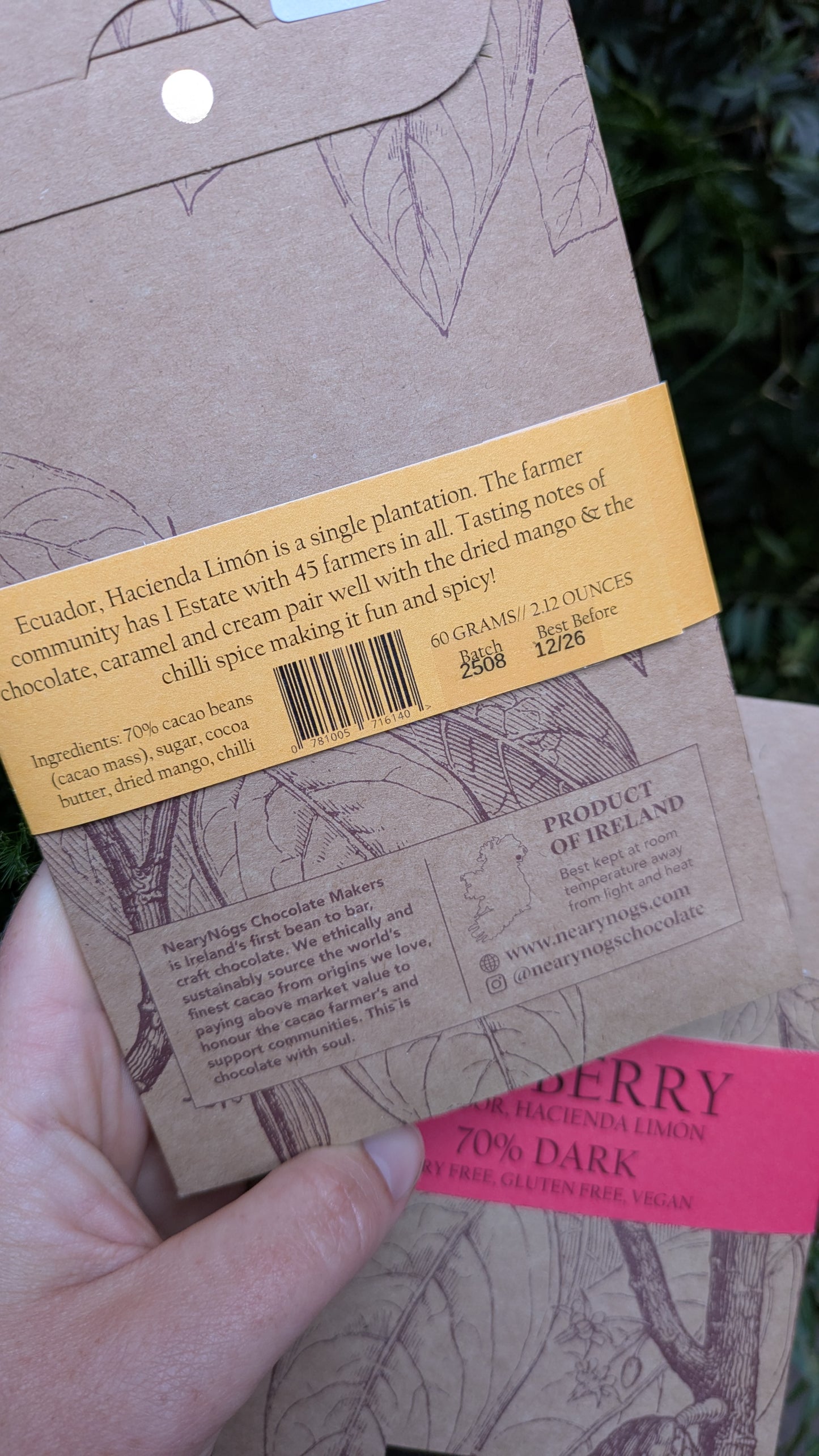 Chocolate Bars (40g)