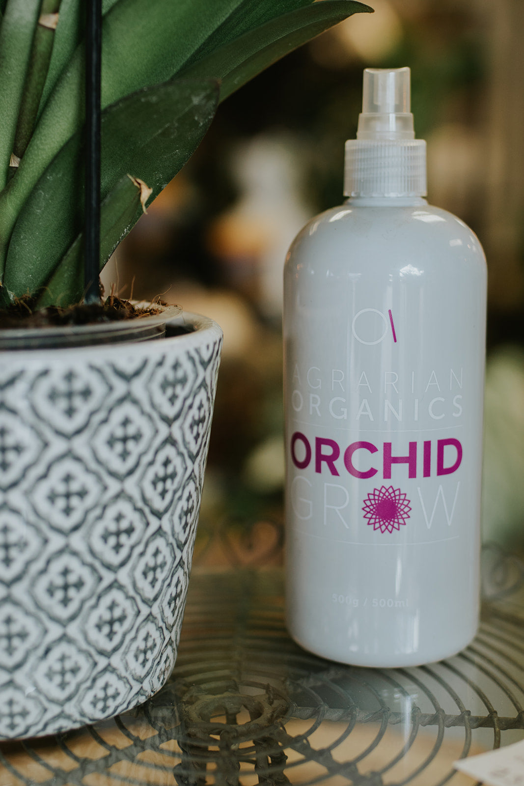 Orchid Lovers Gift Set