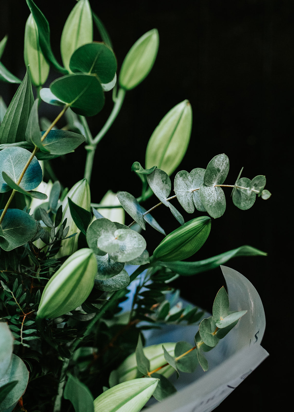 Classic White Lily Hand-tied Bouquet