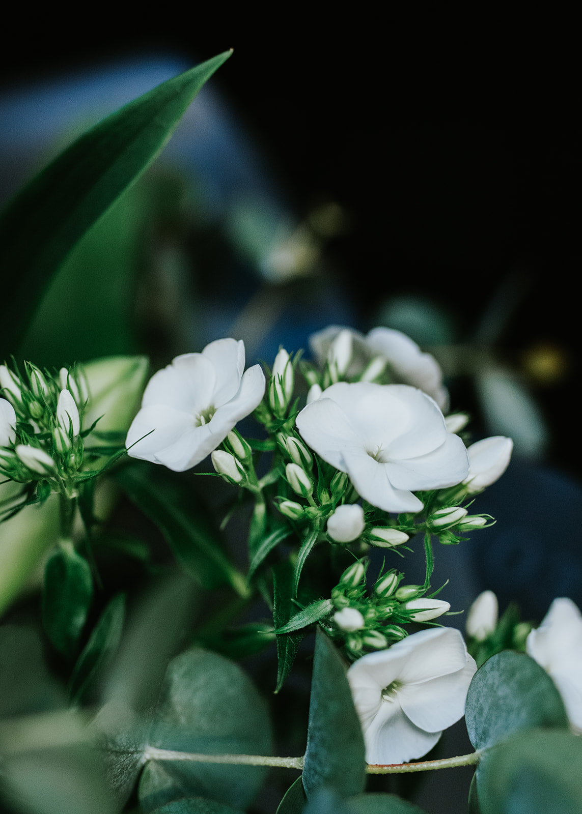Classic White Hand-tied Bouquet
