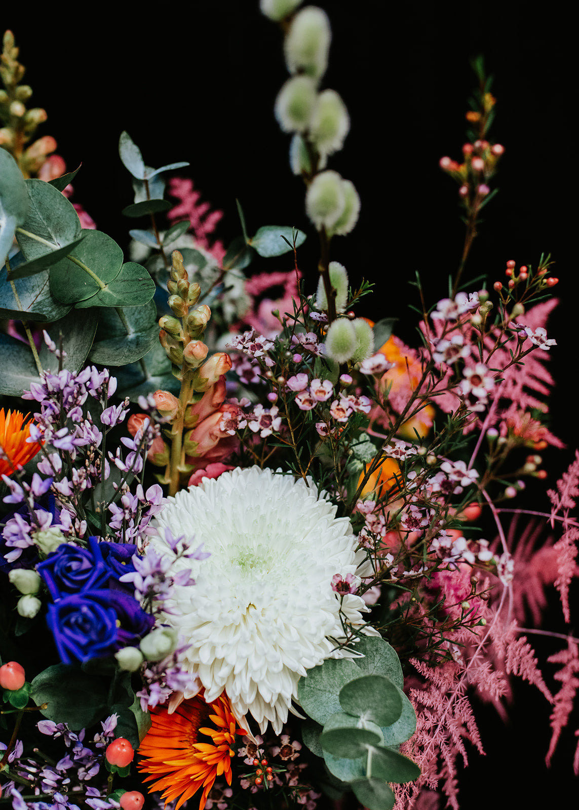 Bloom Collection – George Preston Florist