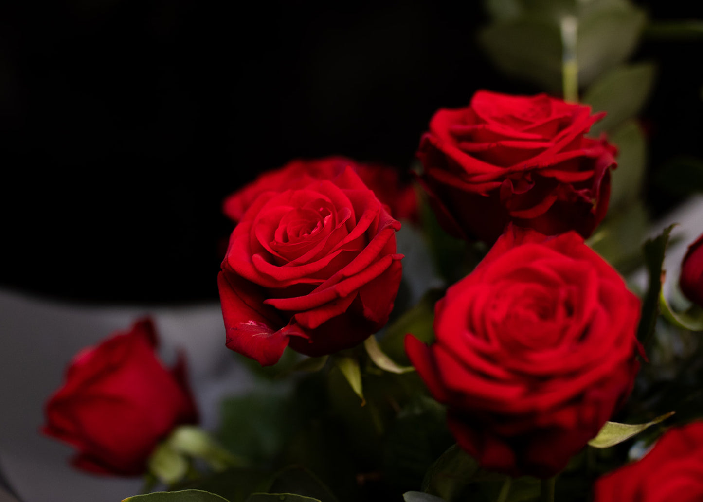 A Dozen Roses